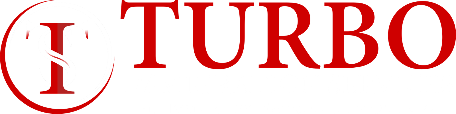 Turbo immigration Services